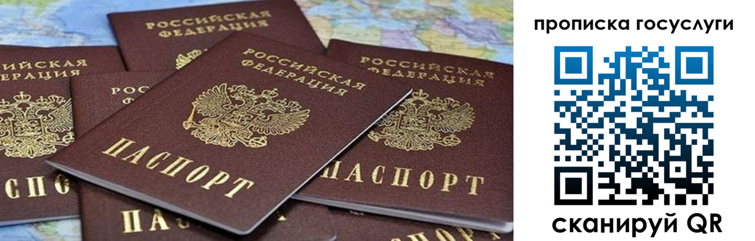 пропишу в квартире в Полярных Зорях